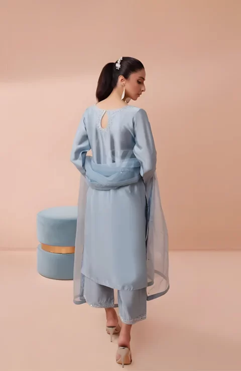 Model wearing Samana Zainab fashion collection dress